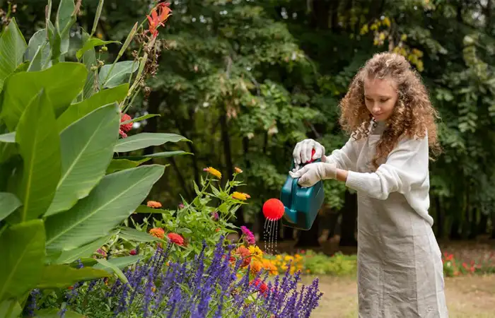 tips-for-seasonal-gardening.webp